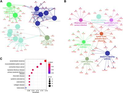 Comprehensive molecular analyses of an autoimmune-related gene predictive model and immune infiltrations using machine learning methods in moyamoya disease